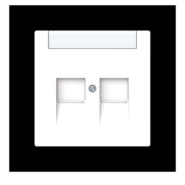 Busch-Jaeger Zentralscheibe 2-fach mit 1800-44M