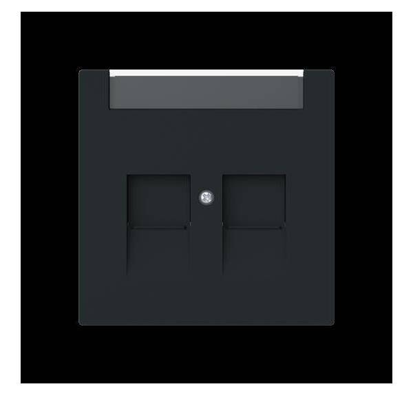 Busch-Jaeger Zentralscheibe 2-fach mit 1800-45M