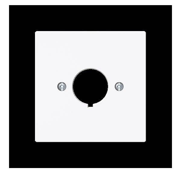 Busch-Jaeger Zentralscheibe 2533-44G