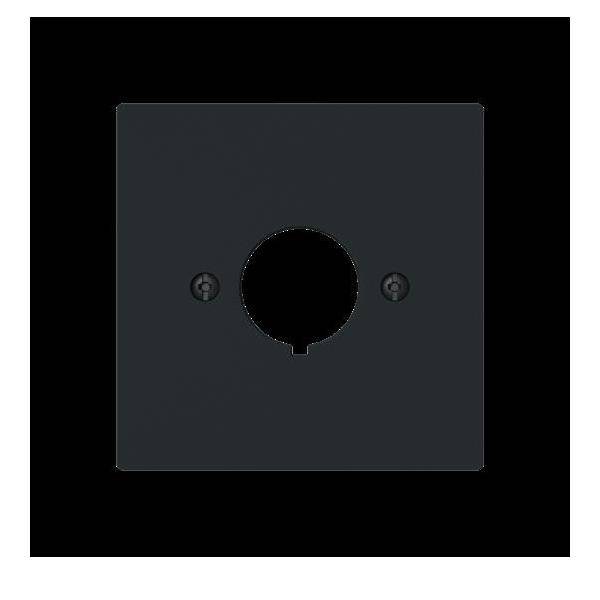 Busch-Jaeger Zentralscheibe 2533-45M