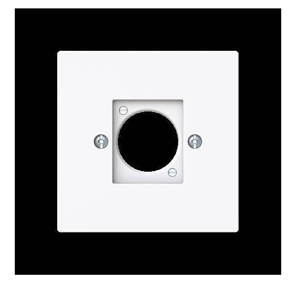 Busch-Jaeger Zentralscheibe XLR 2553-44G