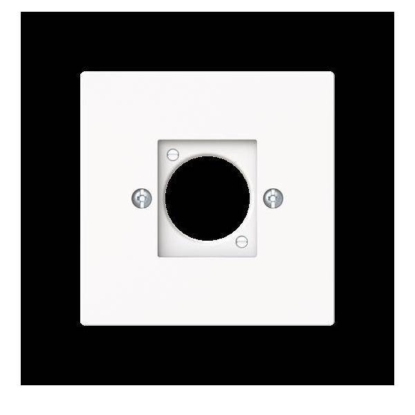 Busch-Jaeger Zentralscheibe XLR 2553-44M