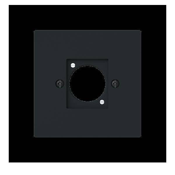 Busch-Jaeger Zentralscheibe XLR 2553-45M