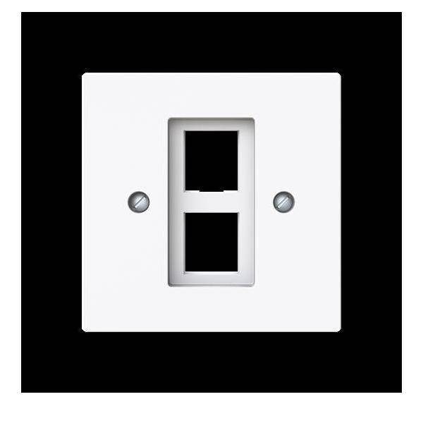 Busch-Jaeger Zentralscheibe m. Tragring 2561-02-44G