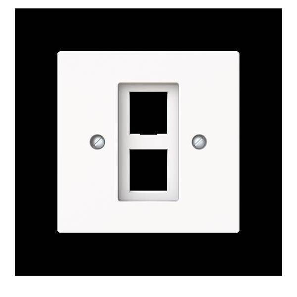 Busch-Jaeger Zentralscheibe m. Tragring 2561-02-44M