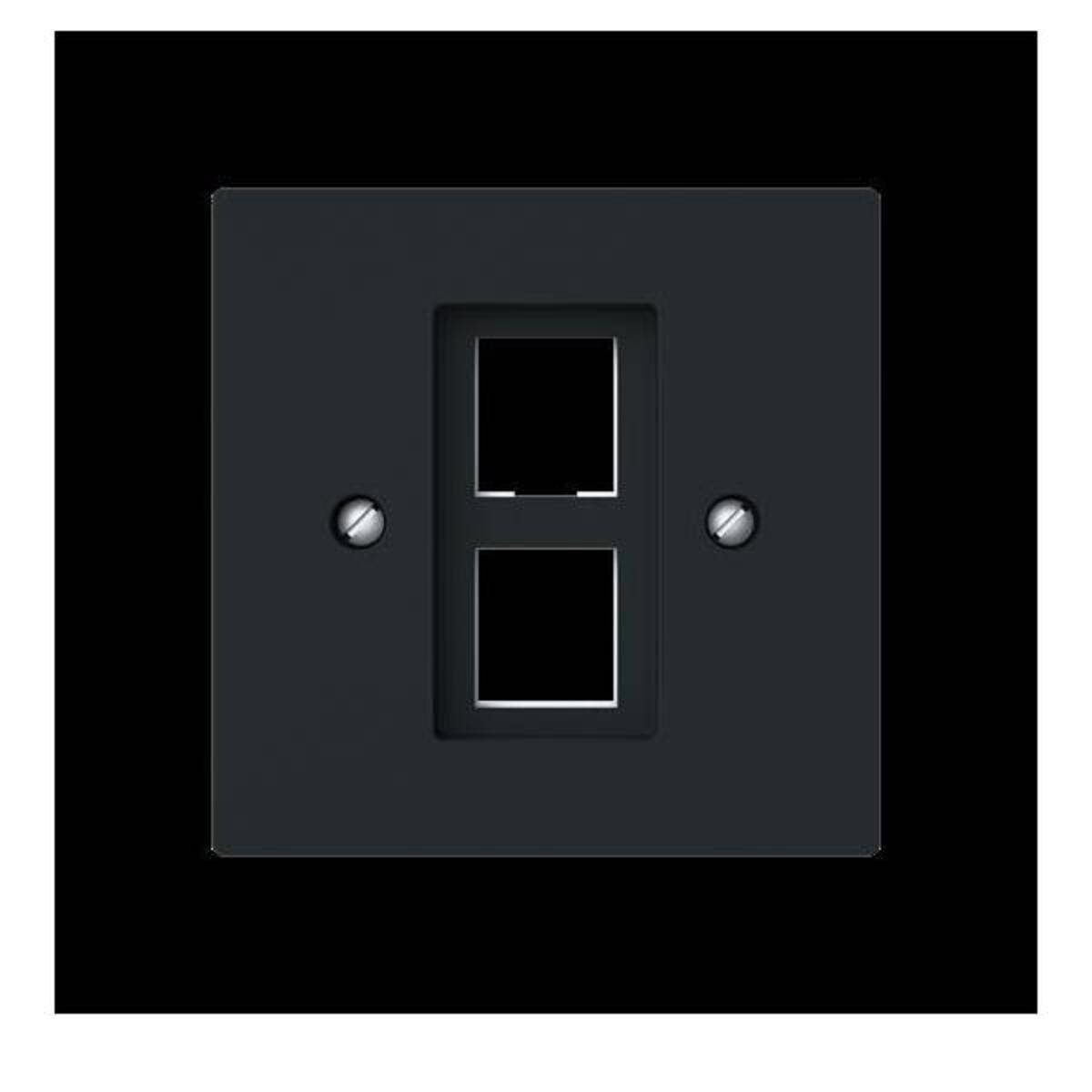 Busch-Jaeger Zentralscheibe m. Tragring 2561-02-45M