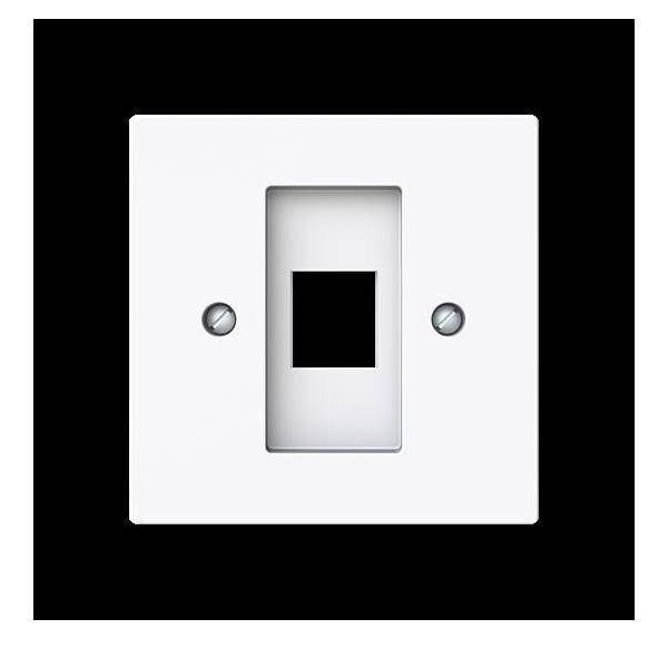 Busch-Jaeger Zentralscheibe m. Tragring 2561-44G