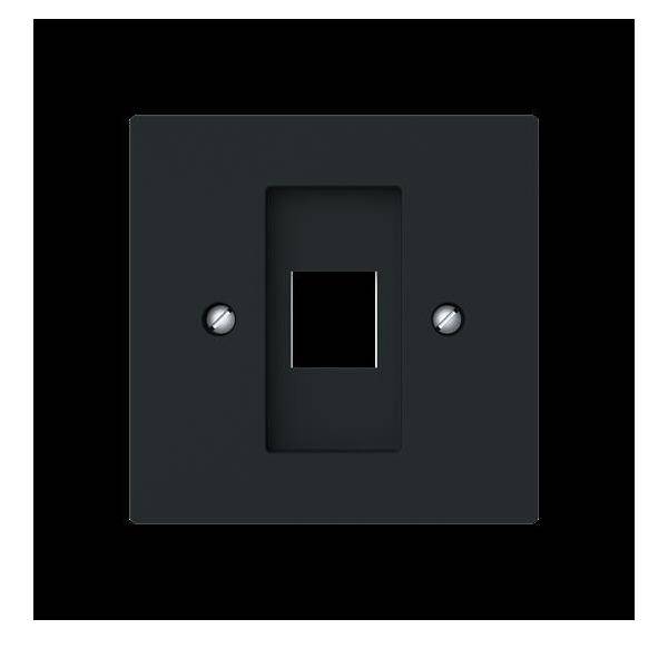 Busch-Jaeger Zentralscheibe m. Tragring 2561-45M