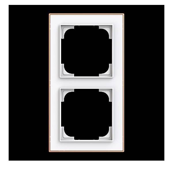 Busch-Jaeger Rahmen 2-fach 1722-441M