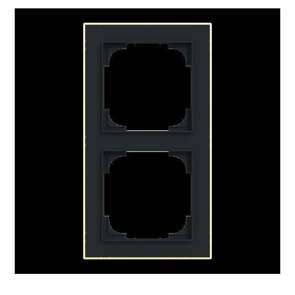 Busch-Jaeger Rahmen 2-fach 1722-453M