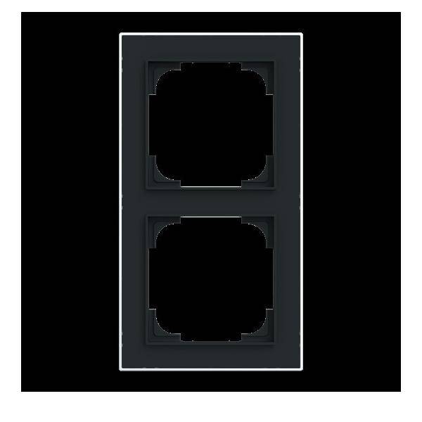 Busch-Jaeger Rahmen 2-fach 1722-456M