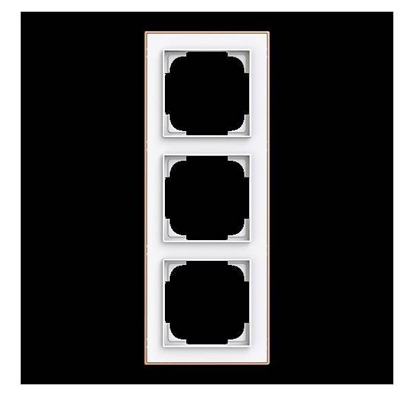 Busch-Jaeger Rahmen 3-fach 1723-441M