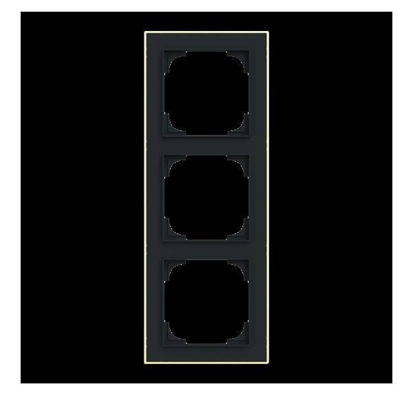 Busch-Jaeger Rahmen 3-fach 1723-453M