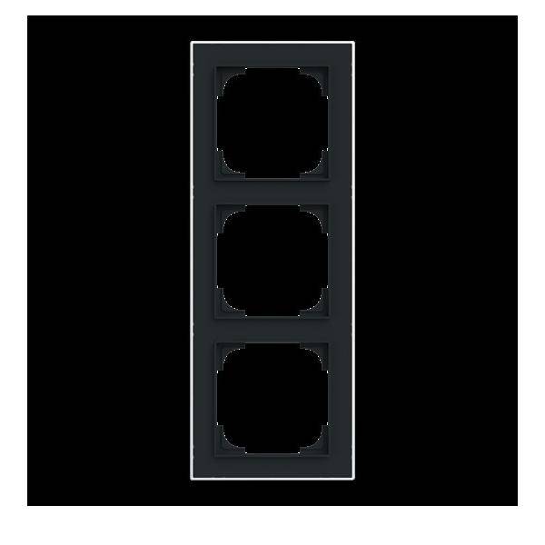 Busch-Jaeger Rahmen 3-fach 1723-456M