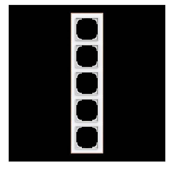 Busch-Jaeger Rahmen 5-fach 1725-441M