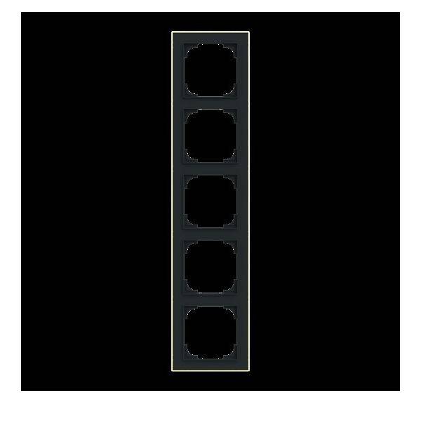 Busch-Jaeger Rahmen 5-fach 1725-453M