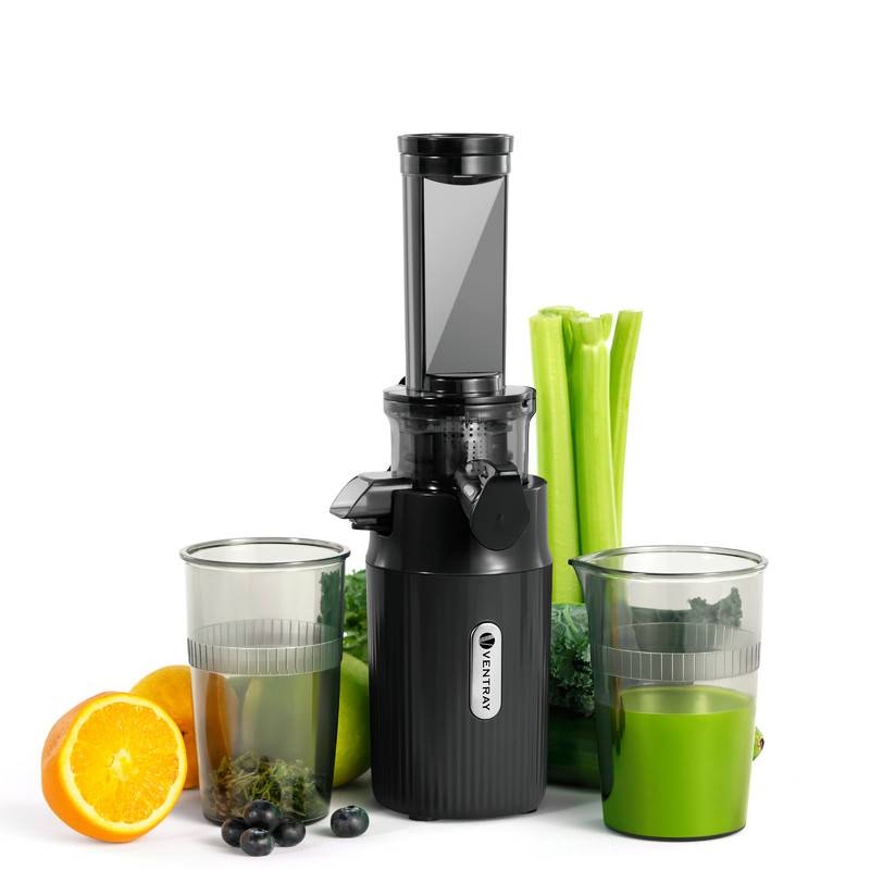 Ein schwarzer Slow Juicer mit frisch gepresstem grünem Saft in einem Glas ist umgeben von Orangen, Blaubeeren, Grünkohl und Selleriestangen.