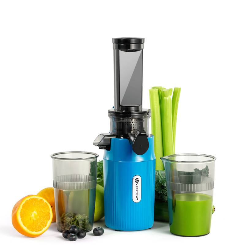 Ein blauer Entsafter mit transparentem Deckel ist von zwei Gläsern Saft, einer Orangenhälfte, Blaubeeren, Sellerie und Grünkohl umgeben.