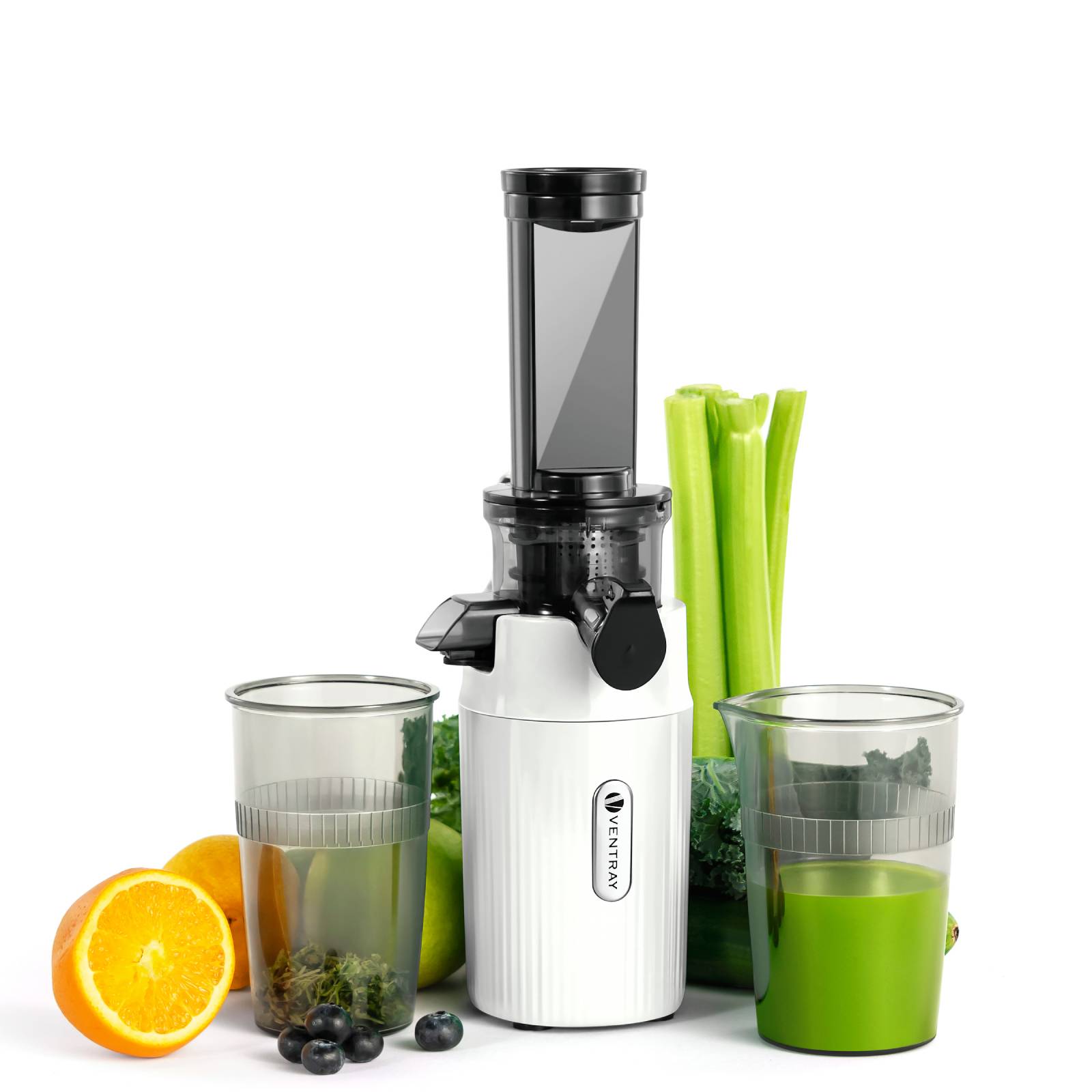 Ein Entsafter ist von frischen Zutaten umgeben, darunter Sellerie, Orangen, Brokkoli und Blaubeeren, neben zwei Gläsern Saft.