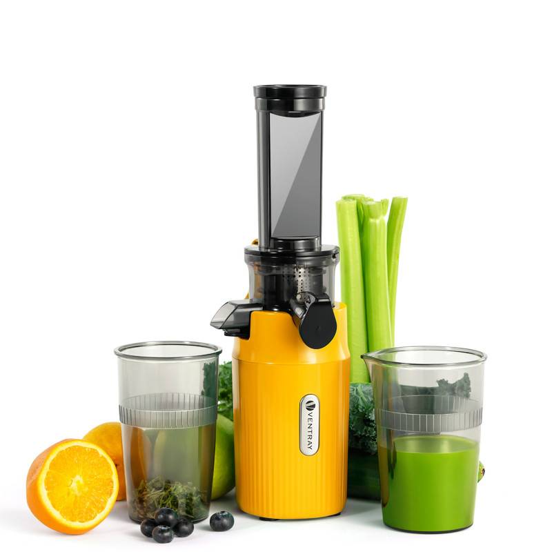 Ein gelber Entsafter, umgeben von Obst und Gemüse, darunter Sellerie, Orangen und Blaubeeren, mit zwei Gläsern Saft, einem grünen und einem braunen.