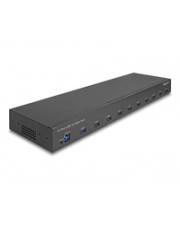 Delock 19? Industrie Hub 10 x USB Gbps Typ-A