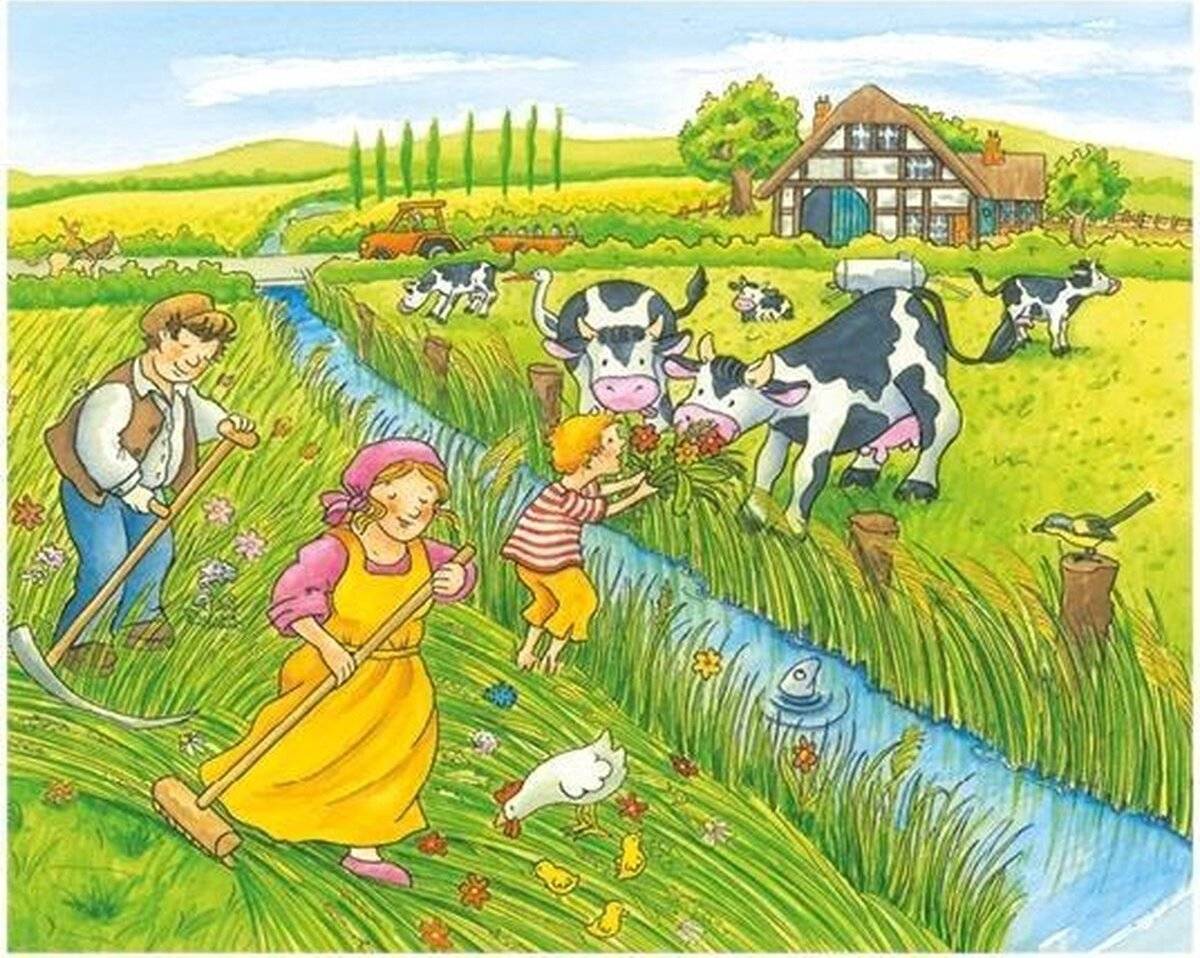 Gollnest &amp; Kiesel GoKi W&amp;#252 rfelpuzzle Jahreszeiten auf dem Bauern
