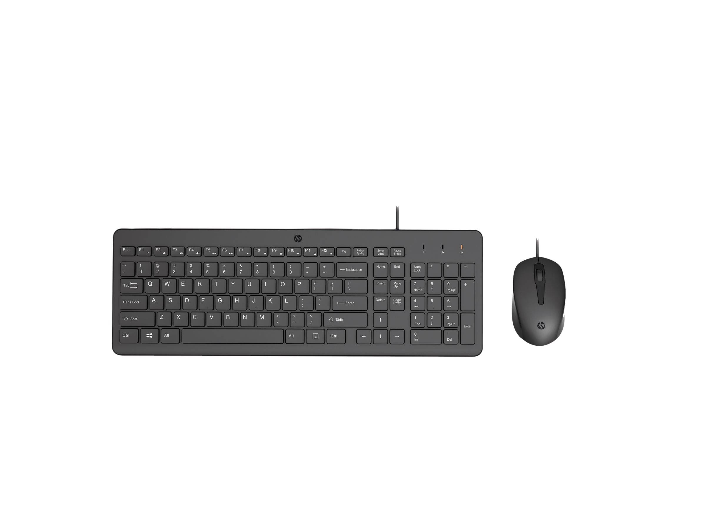 Eine schwarze kabelgebundene Tastatur und eine passende Maus auf weißem Hintergrund.
