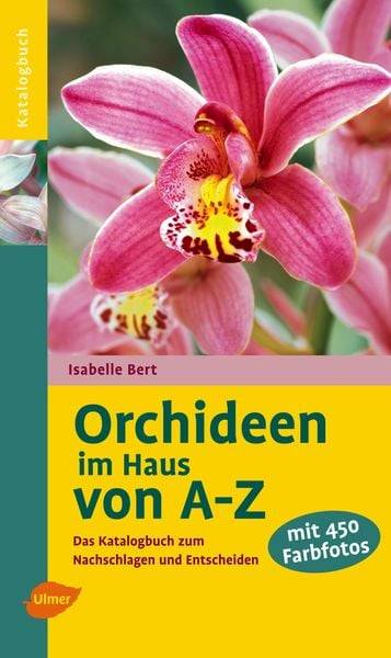 Orchideen im Haus