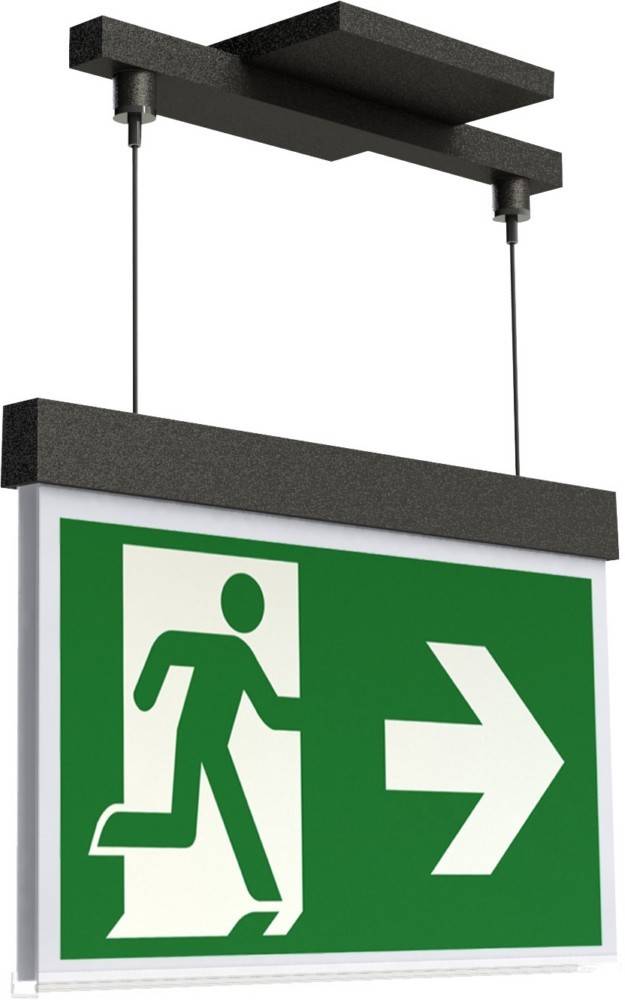 Notausgangsschild mit einer Figur, die auf einen weißen Pfeil vor grünem Hintergrund zueilt und die Fluchtrichtung anzeigt.