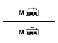 Sharkoon - Patch-Kabel - RJ-45 (M) zu RJ-45 (M)