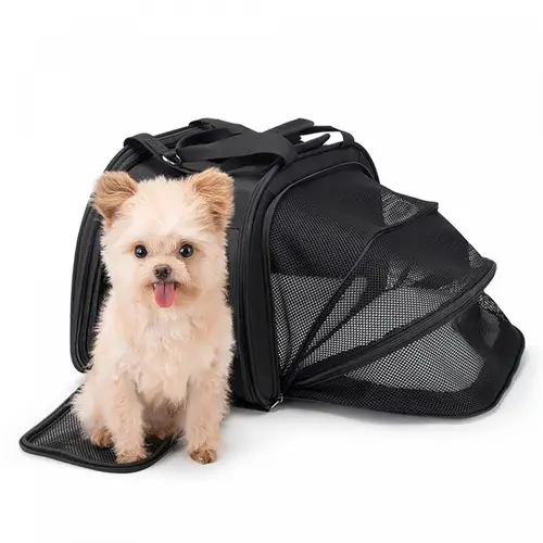 Transport-Fahrradtasche für Katzen und Hunde max. 10kg – Schwarz aus Baumwolle Transport-Fahrradtasche für Katzen und Hunde max. 10kg – Schwarz aus Baumwolle