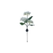 SUNARI Blumen Solarlampe LED FLS-93 Hortensien 3000K 600mAh Li-Ion Forever Light SUNARI Blumen Solarlampe LED FLS-93 Hortensien 3000K 600mAh Li-Ion Forever Light