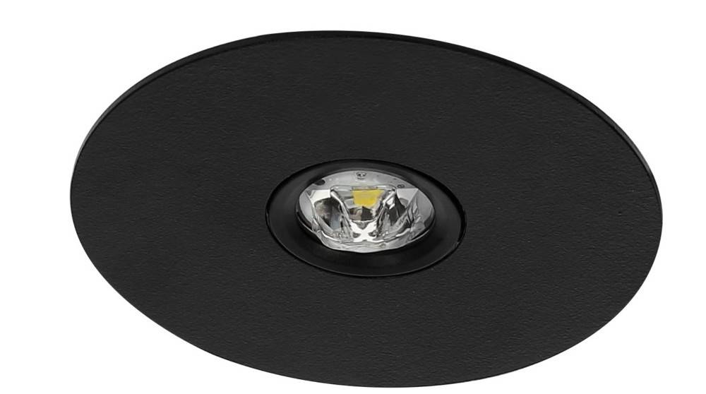 Fischer Sicherheitsleuchte BRE315M-B