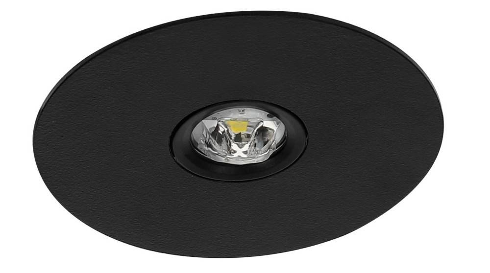 Fischer Sicherheitsleuchte BRE319M-B