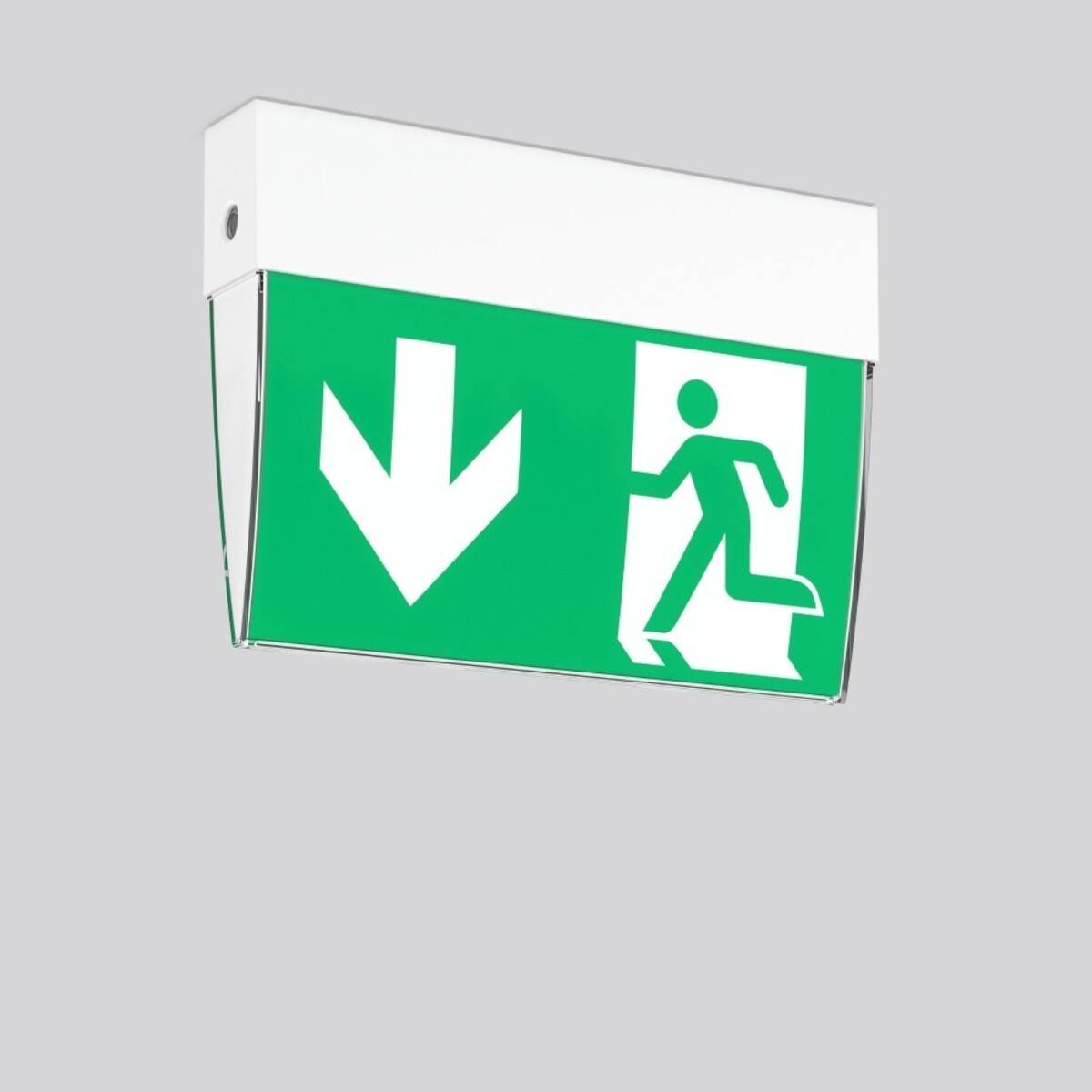 Grünes Notausgangsschild mit Abwärtspfeil und Laufsymbol in weißem Gehäuse montiert.