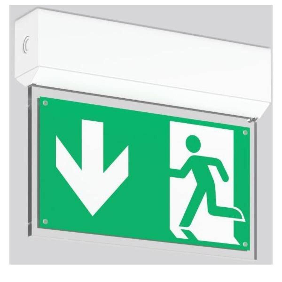 RZB LED-Rettungszeichenleuchte 672841.002.F1