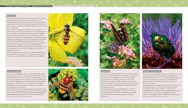 Biene, Igel, Schmetterling. So wird Ihr Garten zum Naturparadies.