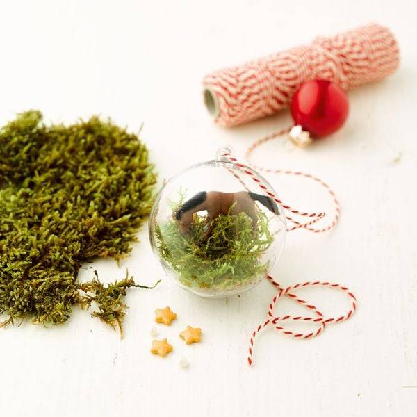 Pferdeglück - Der kreative Adventskalender. 24 Überraschungen für Pferde-Fans