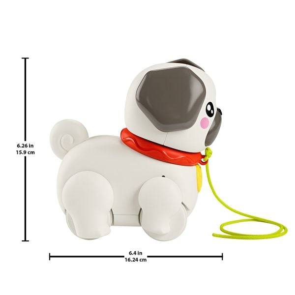 Pets Gassi Gehen Mit Hündchen