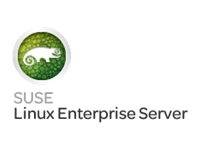 HPE - SuSE Linux Enterprise Server - Abonnement (1 Jahr)