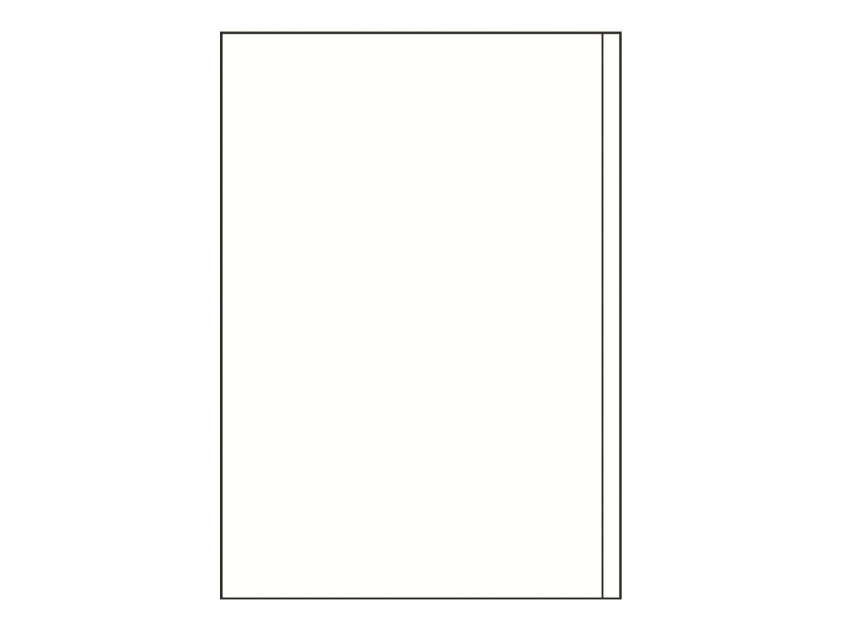 AVERY ZWECKFORM - Avery - Weiß - A4 (210 x 297 mm) 100 Stck. (100 Bogen x 1)