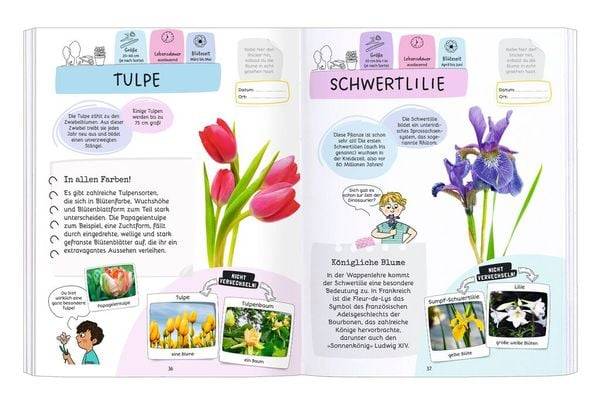 Expedition Natur Rätseln, Stickern, Bestimmen - Blumen