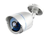 LevelOne ACS-5602 Sicherheitskamera Bullet CCTV Draußen Decke/Wand Eingabe / Ausgabe Webcams