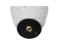 LevelOne ACS-5302 Sicherheitskamera Dome CCTV Innen & Außen Zimmerdecke Eingabe / Ausgabe Webcams