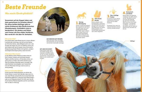 WAS IST WAS Pferde. Freunde, Freiheit, Abenteuer