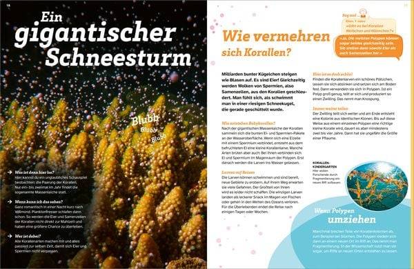 WAS IST WAS Korallenriff. Mitten im Gewusel