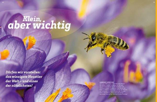 WAS IST WAS Bienen. Summende Genies