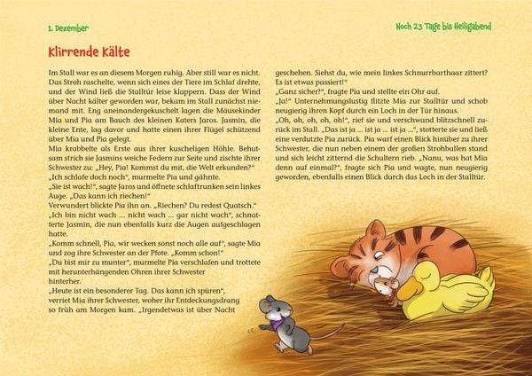 Ein Weihnachtsfest für Mia und Pia