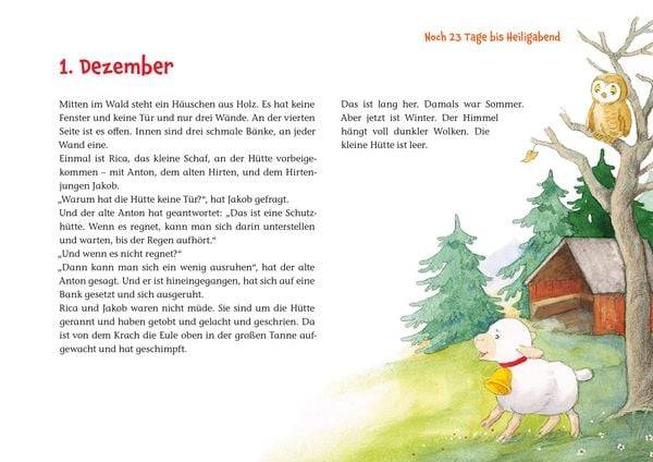 Rica erlebt die Waldweihnacht