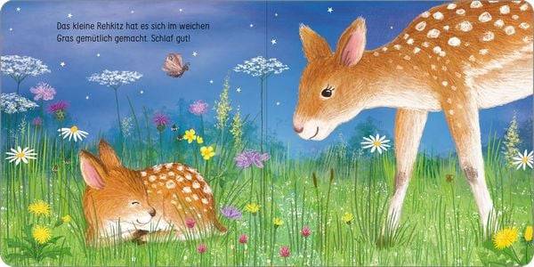 Schlaf gut, kleine Eule!
